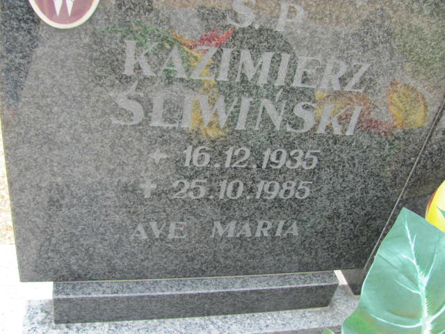 Maria Śliwińska 1935 Rudna - Grobonet - Wyszukiwarka osób pochowanych