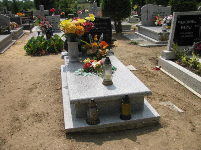 Grób Władysław Iwanicki