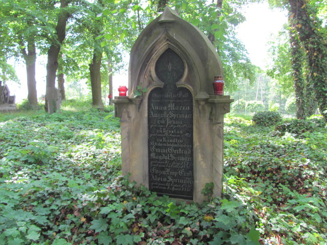 Grób Eugen Alvis Springer